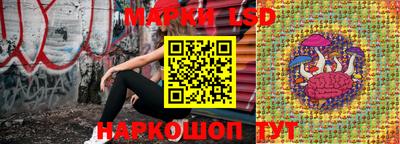 гидропоника Добрянка