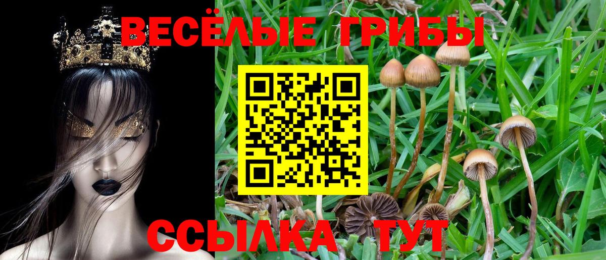 Галлюциногенные грибы прущие грибы Ноябрьск