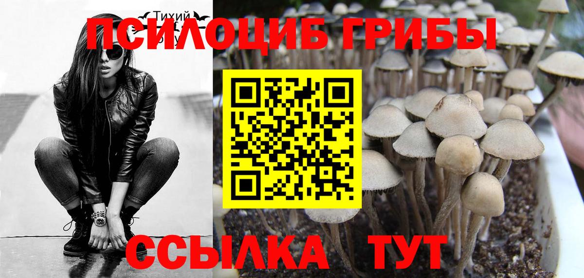 Ноябрьск  Псилоцибиновые грибы MAGIC MUSHROOMS  Вход с VPN 